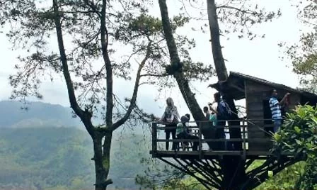 sewa-mobil-wisata-omah-kayu