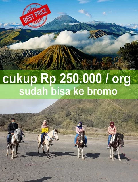 Sewa mobil di bromo